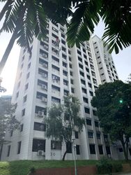 bukit-batok-street-25 photo thumbnail #9